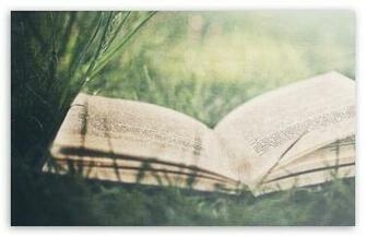 Open Book On Green Grass HD Wallpaper For Standard Fullscreen