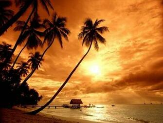 Island Sunset Wallpaper Image Photos Pictures And Background