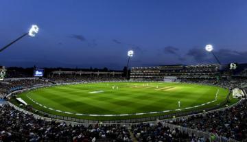Cricket Wallpaper HD Image Stock