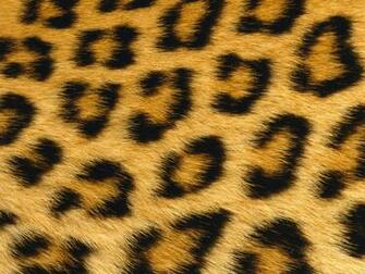 Faux Fur