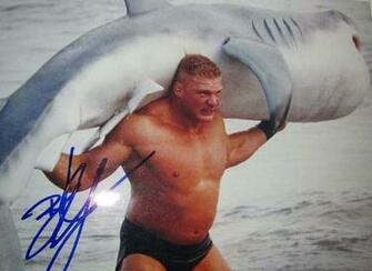 High Definition Quality Wallpaper Of Brock Lesnar F5 Shark HD
