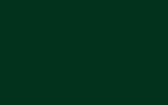 Background Color Solid Green Dark Image