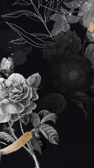 Aesthetic Dark Background Wallpaper