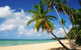 Fonds D Cran Martinique Tous Les Wallpaper