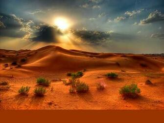 Desert Scene Wallpaper