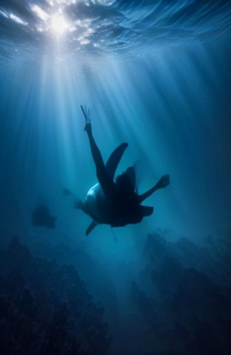 Diving Wallpaper