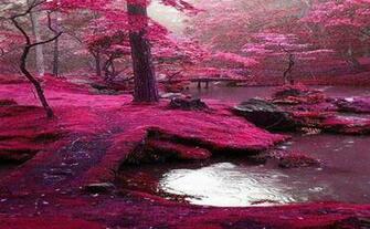 Bridges Park Ireland Wallpaper