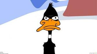 Pics Photos Funny Daffy Duck Pictures Wallpaper Cartoon
