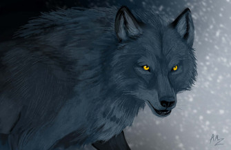 Wolf Aesthetic Wallpaper