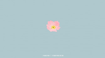 Cute Spring Wallpaper Ideas Pink Floral Blue Background For