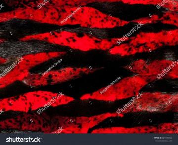 Texture Background Mink Fur Painted In Red Color Sponsored