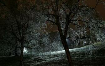 Beautiful HD Wallpaper Hq Desktop Background Image Winter
