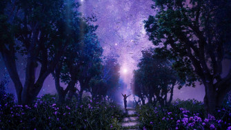 Fairy Aesthetic Wallpaper