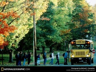 School Bus Photo Of The Day Picture Photography Wallpaper