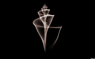 Mobile X Ray Shell Wallpaper And Image Pictures