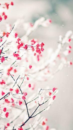 Ios7 Snow On Red Parallax HD iPhone iPad Wallpaper