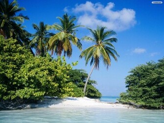 Tropical Island Wallpaper