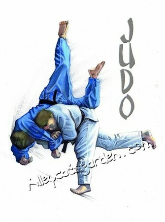 Judo Throw Wallpaper By Alleycatsgarden