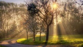 Landscape Sunny Day July Wallpaper And Image