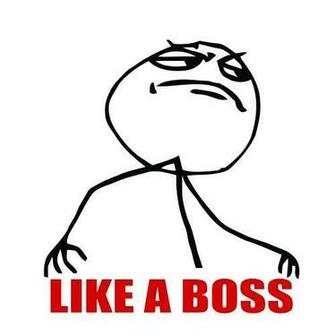 Meme Like A Boss