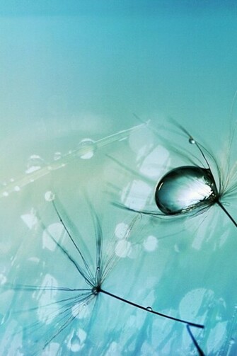 HD Hot Wallpaper For Mobile Background In High