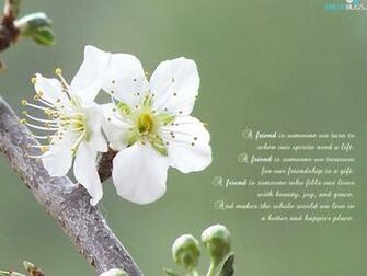 Wallpaper Of Love And Friendship Pictures