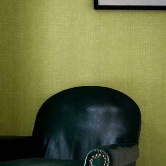 Graham Brown Crocodile Skin Pattern Animal Print Textured