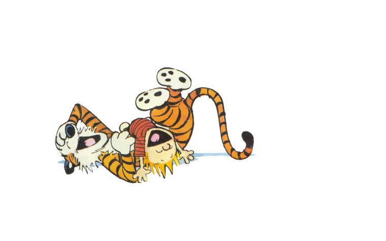 Calvin And Hobbes HD Wallpaper General