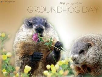 Groundhog Wallpaper On
