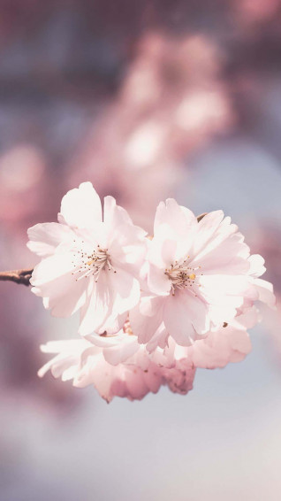 Get Your Summer Florals Started Early With A Light Pink