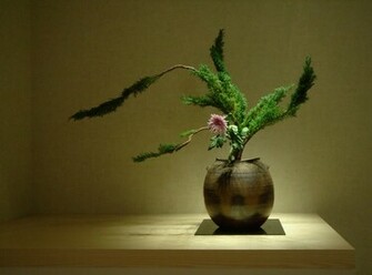 High Definition Wallpaper Photo Ikebana Html