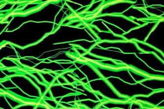 Cool Green Neon