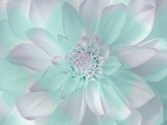 Pastel Cynthia Selahblue Cynti19 Wallpaper