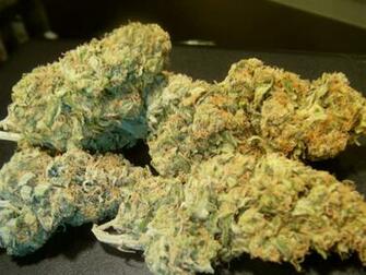 Sour Diesel Graphics Code Comments Pictures