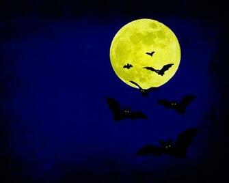 Scary Halloween Bats HD Wallpaper