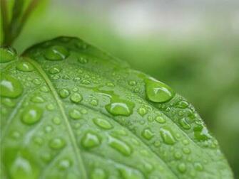 Beautiful Wallpaper Rain For Your Desktop