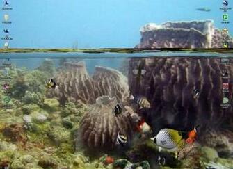 Nothing Found For 3d Desktop Aquarium Screensaver Db1a6