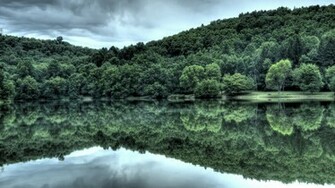 Landscapes Trees Wallpaper