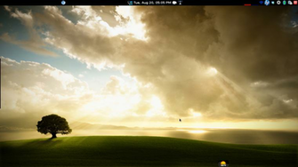 As Promised Clone Of Lxle On Debian Jessie Alternative Computing