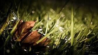 Wallpaper 1080p High Quality Definition Of
