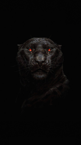 Black Panther 4k Ultra HD Dark Phone Wallpaper