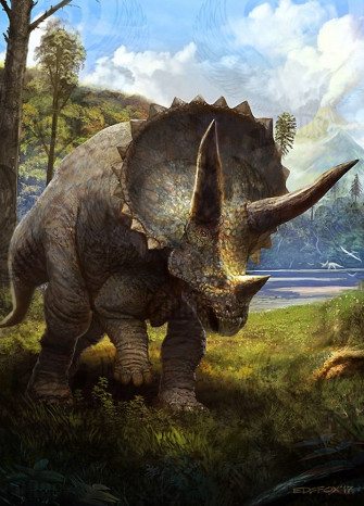 Triceratops Design For Gnd Cards Artwork By Eduardo Dom Nguez