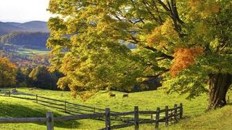 Outono Paisagens Plano De Fundo Natureza Vbjmbp Desktops Linda