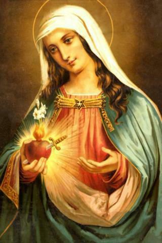 Virgin Mary HD Live Wallpaper Android Informer The