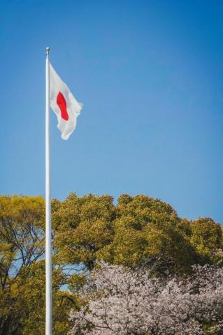 Japan Flag Pictures Image