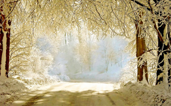 Beautiful Winter Wallpaper Image Design Trends