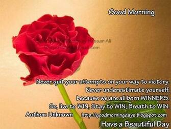 Good Morning Tuesday HD Wallpaper