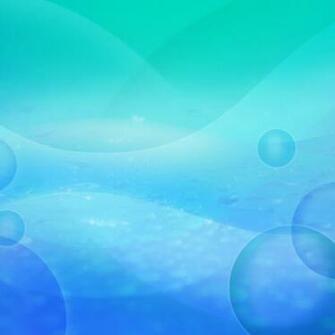 Retina iPhone New iPad Zebra HD Wallpaper Walls Find