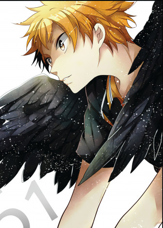 Shoyo Hinata Wallpaper And