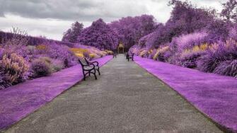 Belfast Botanic Gardens In Northern Ireland 1440p